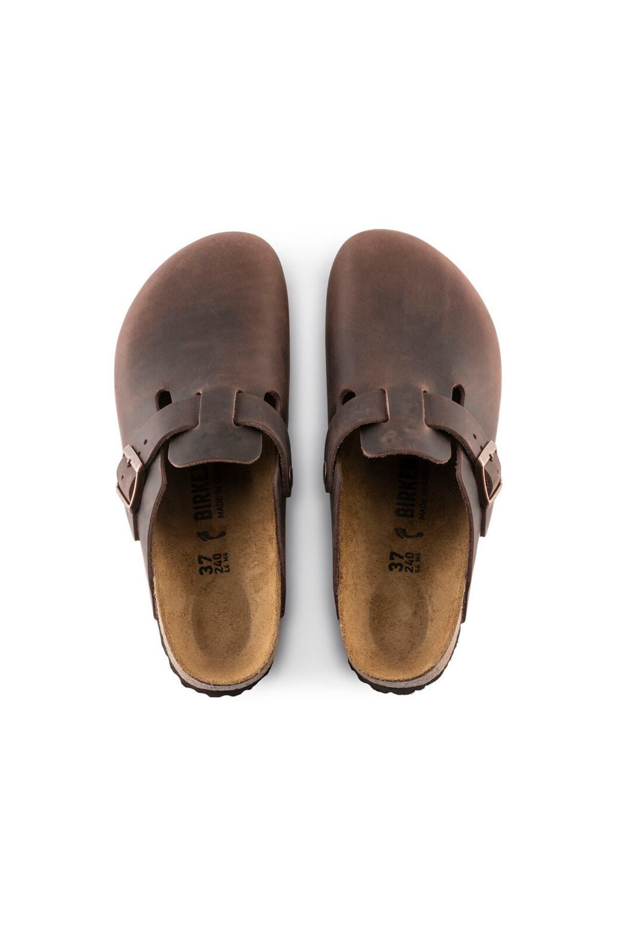 SANDALE POUR HOMME BOSTON LEOI - HABANA