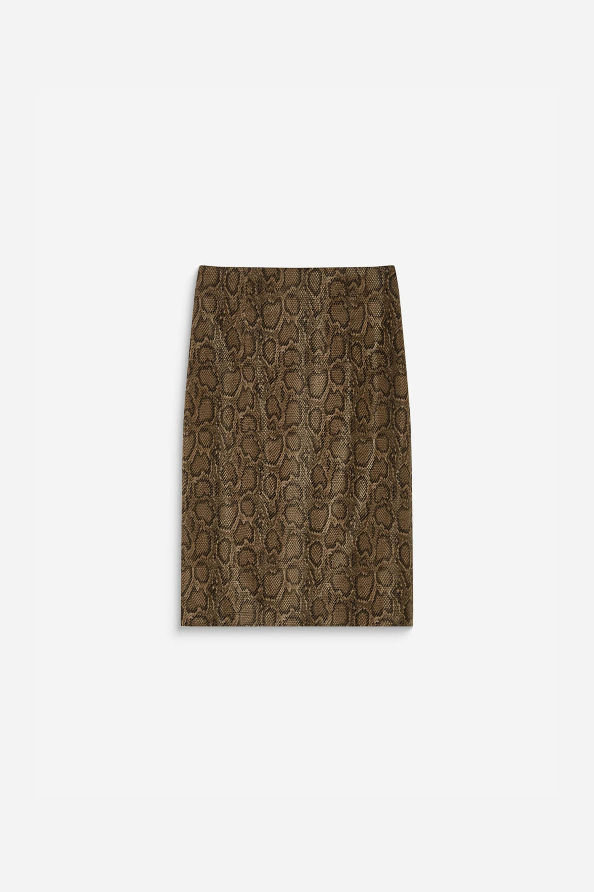 JUPE ACACIA - PYTHON